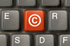 Intellectual Property Practice