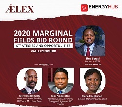 2020 marginal fields webinar