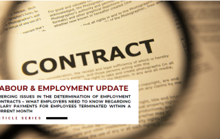 Determining the appropriate salary payable to a periodic employee terminated during the course of a month has been a knotty issue for employers. The National Industrial Court recently reached a decision, in the case of Mr. Abe Adewunmi Babalola v Equinox International Resources Limited where it was decided, amongst other issues, that pro-rated payment of salaries is not applicable to periodic employments. This article reviews the decision and discusses the potential implications for employers