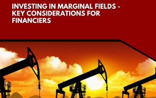 Investing in Marginal Fields